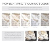 Modern Shag Plush Grey Gold Area Rug for Living Room - Image 5