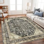 Vintage Soft Area Rug for Living Room and Bedroom